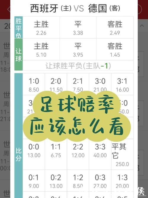 世界杯投注赔率解析与技巧 世界杯投注赔率解析与技巧